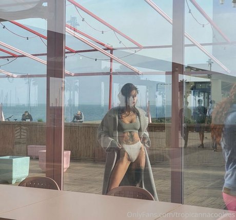 tropicannacookies exclusive star images