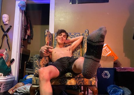 basilgray high quality star img