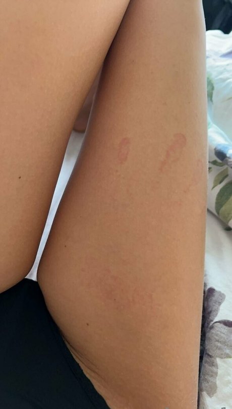 angel o1 art model picture