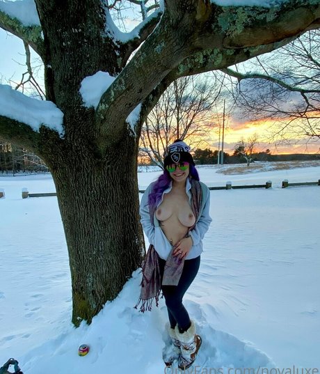 novaluxe pornstar adult pics