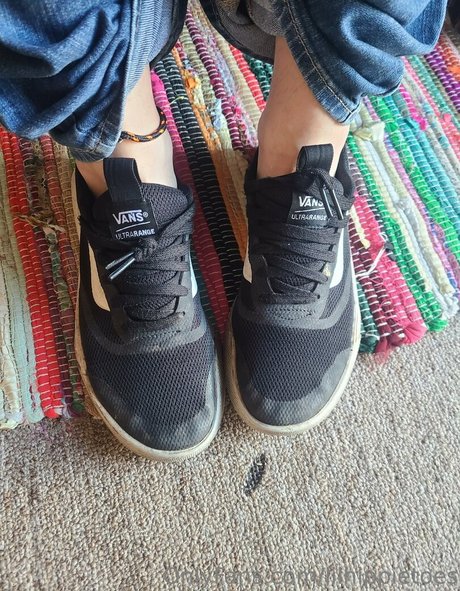 lilhippietoes model pretty photos