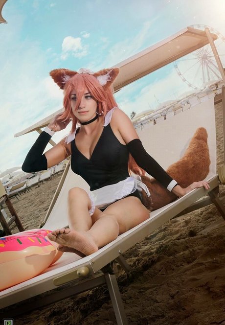 Eveyfoxfire star free image