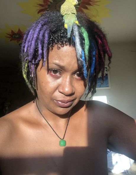 universallovvvve sex pornstar galleries