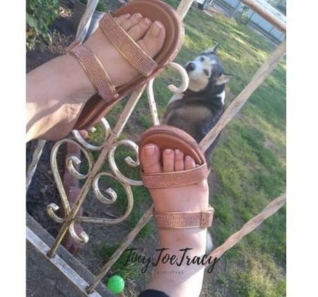 tinytoetracy naked pornstar img