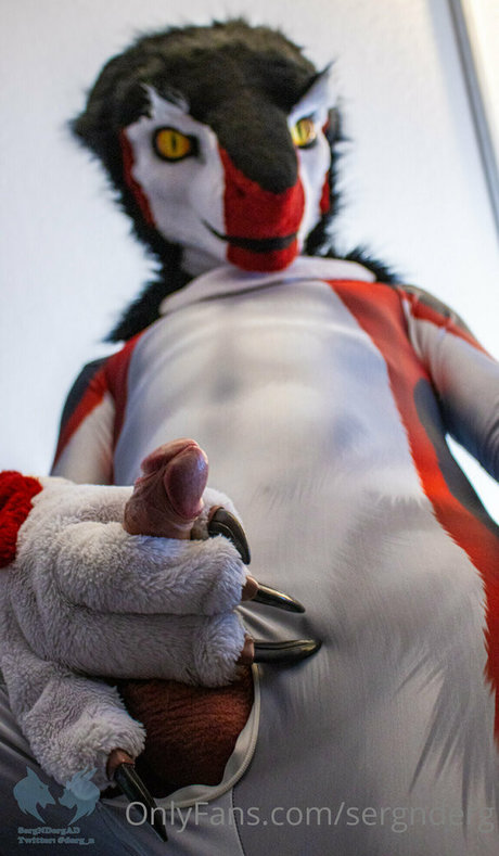 sergnderg top star img