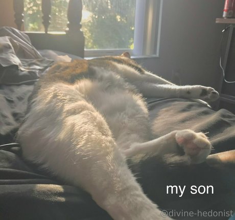 divine hedonist free art star picture