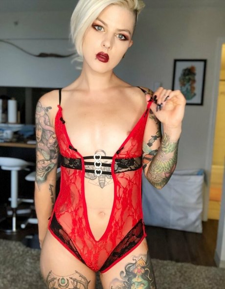 dicentra6 high quality star pictures