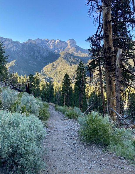 freejohnnystone model pornographic image