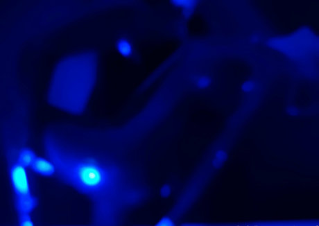 naoof star pornographic archive