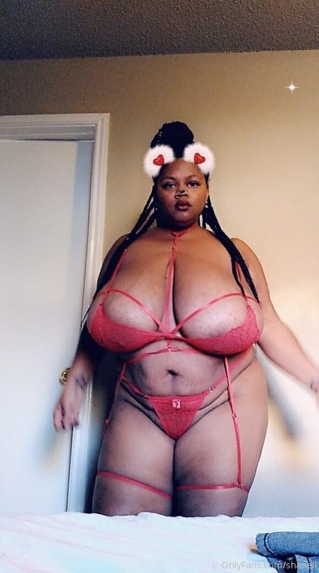 shaneii star free archive