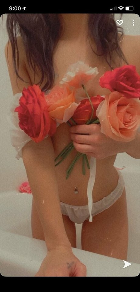 paisleypepper profile pic