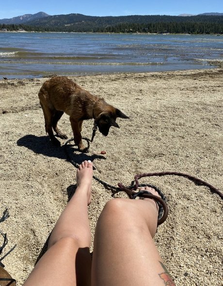 thepastryshop xxx model gallery