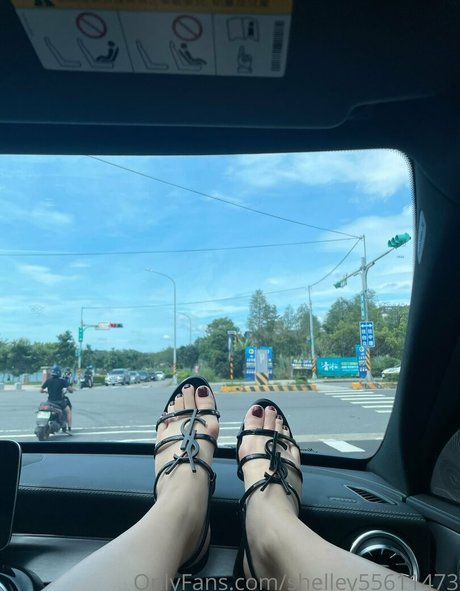 shelley55611473 pornstar naked archive