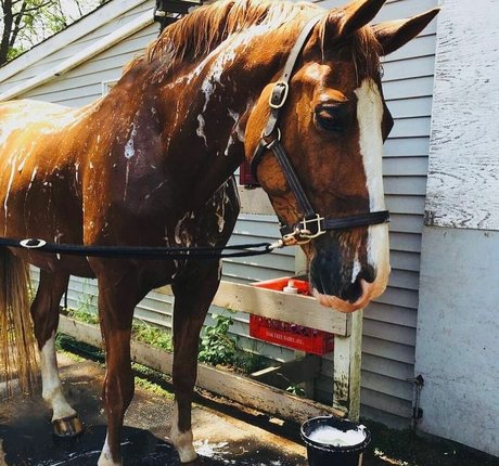 Maya Bulgarien model nude photo