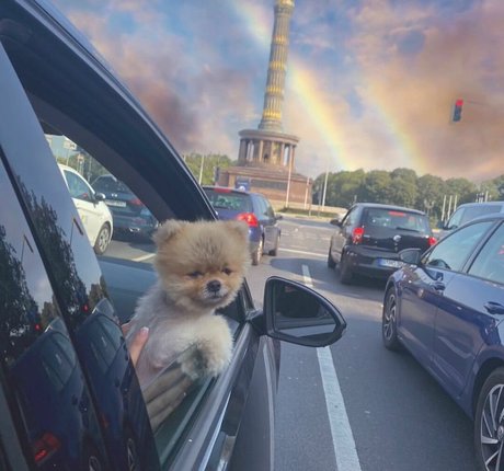 Maya Bulgarien model xxx images