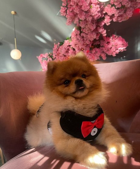 Maya Bulgarien exclusive pornstar galleries