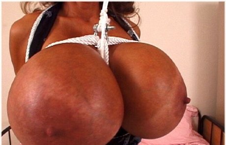 kaylakleevage pornstar free gallery