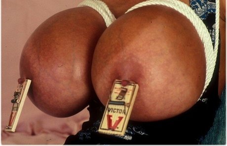 kaylakleevage pornstar hd pics