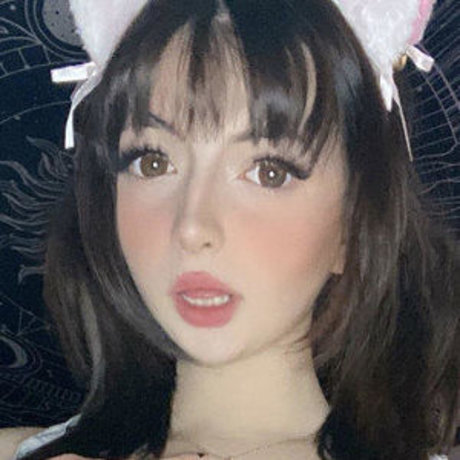 kywahxo model top image