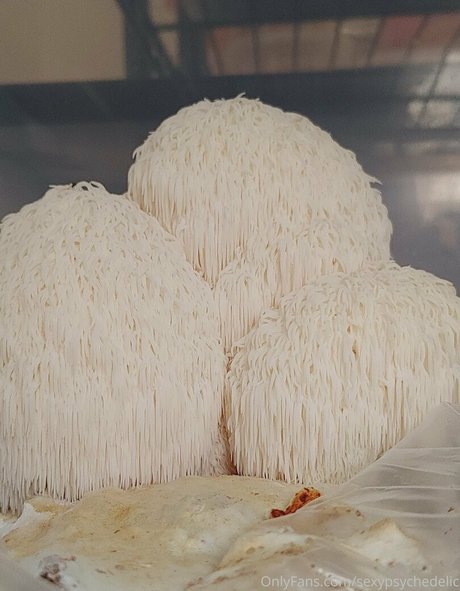 sexypsychedelic pornographic model pic