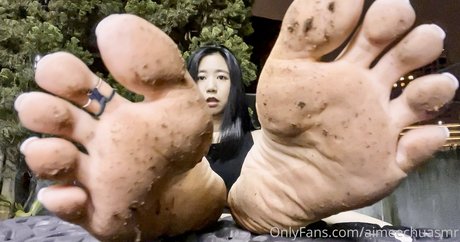 aimeechuasmr art star galleries