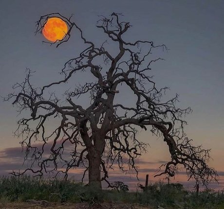 Amethyst Franklin profile pic