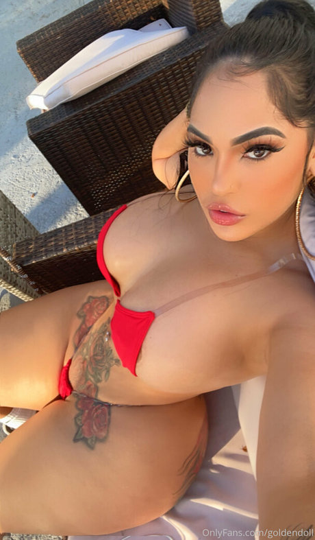 goldendoll star adult pic