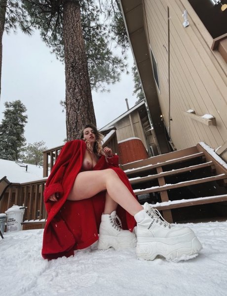 stevilou top model img