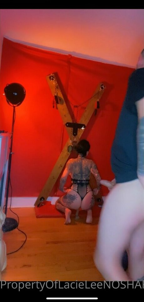 Jackontherocks star gallery