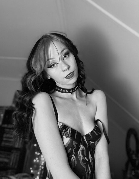 shadesofshay star perfect images