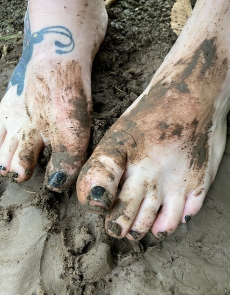 ticklebxtra erotic pornstar galleries