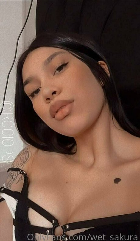 wet sakura star top galleries