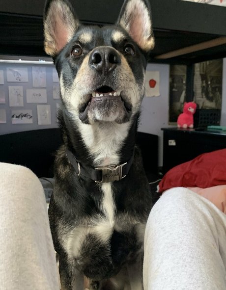 unethrealfree nice model archive