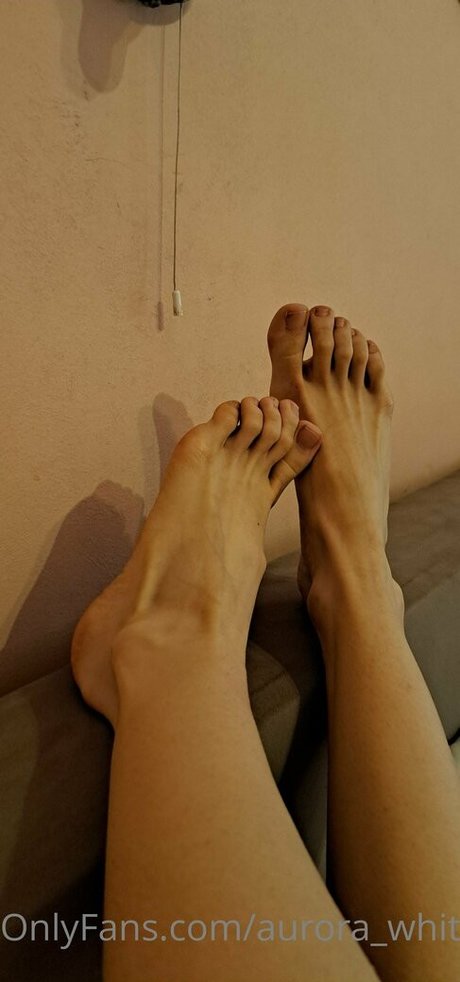 aurora whitewhale model exclusive archive