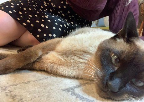 swimsuit onlyfans free sex pictures