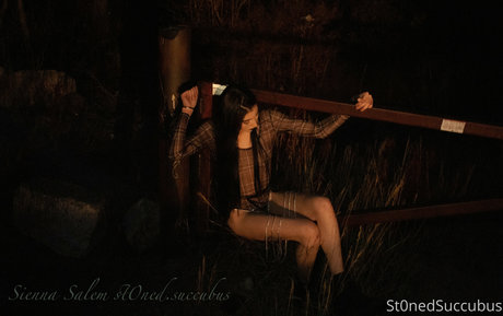 salemsienna perfect star pictures