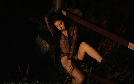 salemsienna nice star gallery