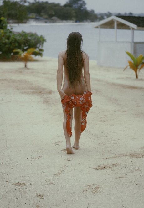 Bella Bel 1 free pornstar img