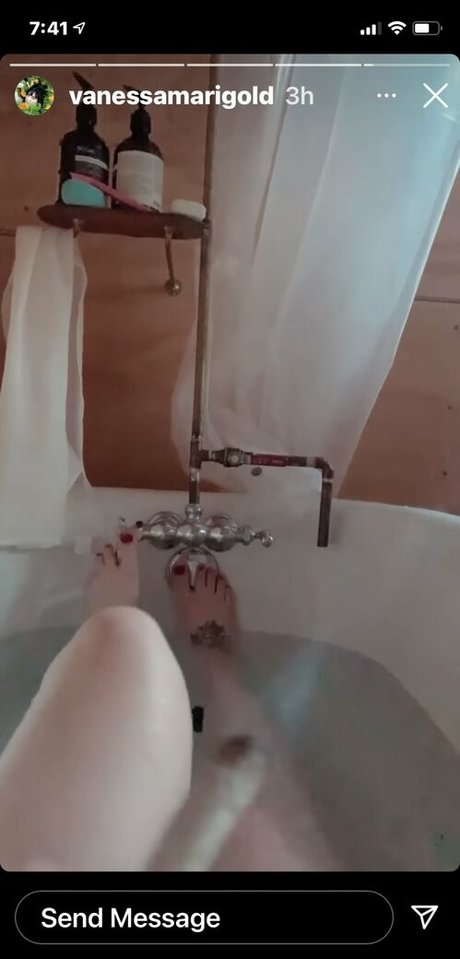 Vanessa Dora Lavorato star adult pics