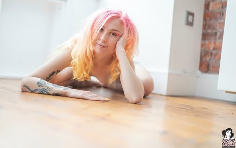 birdie art pornstar galleries