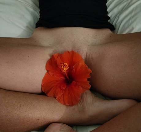 ValhallaSmokeShow star nice photo