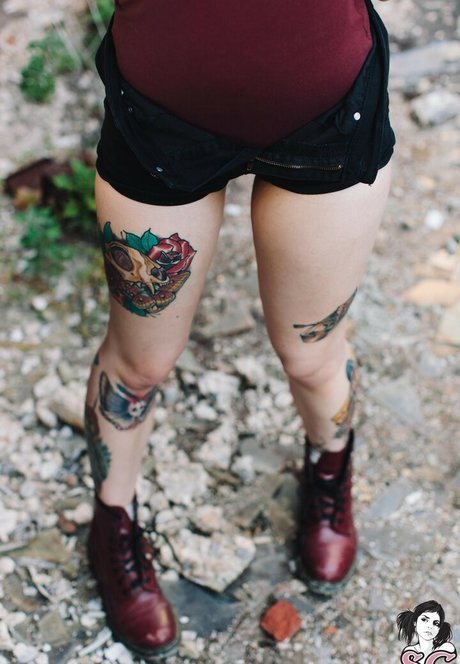 Skyhook Nova pretty star galleries