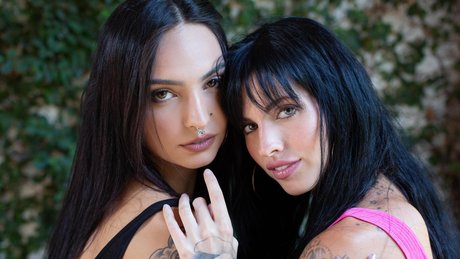 nestysg model top gallery