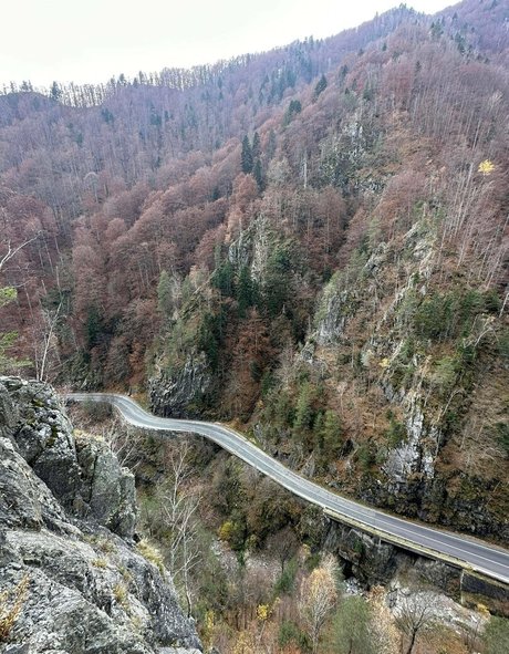 Anisyia_ perfect actress pictures