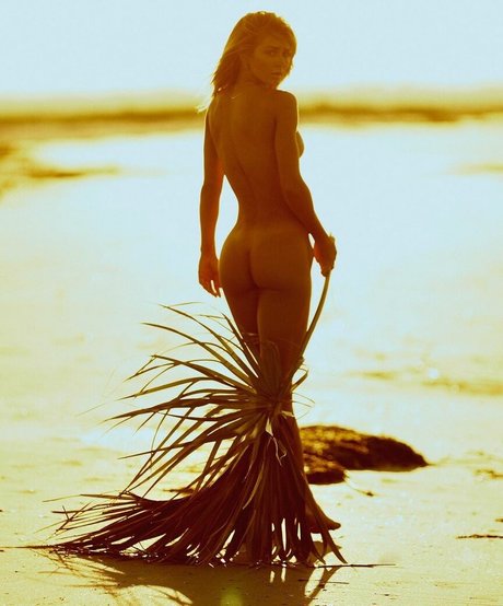 English Alexander star pretty archive