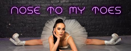 nosetomytoes perfect pornstar photos