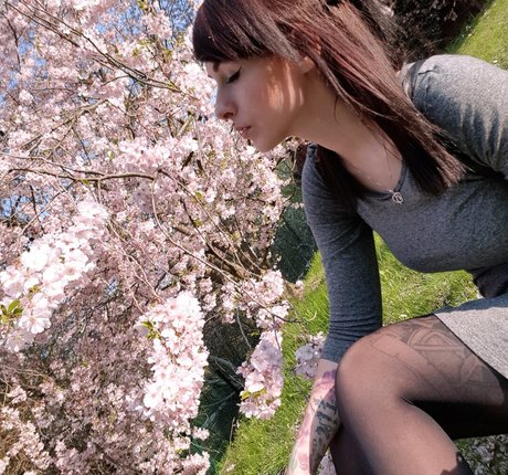 romisu pornstar xxx galleries