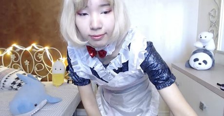 Pancakee perfect star galleries