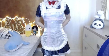 Pancakee model top image