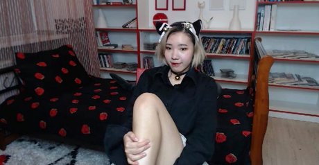 Pancakee hd model image